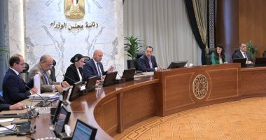 مجلس الوزراء يوافق على طلب إقامة مشروع "مناطق حرة خاصة" ببرج العرب 