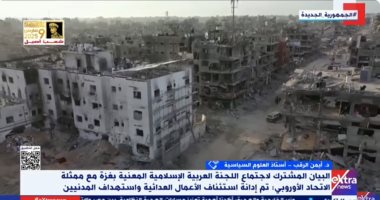 أستاذ علوم سياسية: إسرائيل تصر على ارتكاب جرائم ضد الشعب الفلسطينى