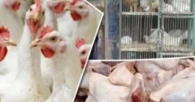 أسعار لحوم الدواجن اليوم الإثنين 24 مارس فى أسواق الشرقية