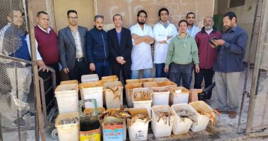 ضبط أكثر من طن ملوحة فاسدة فى حملة على الأسواق والمحلات بسوهاج الملوحة المضبوطة