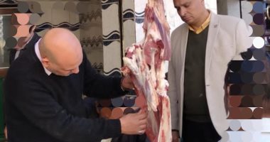 تحرير 20 محضرا تموينيا وضبط أسماك وكبدة مجمدة غير صالحة بالمنوفية