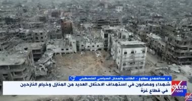 عبد المهدى مطاوع: لا بديل عن القوات الدولية لوقف الانتهاكات الإسرائيلية بغزة