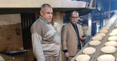 محافظ الدقهلية: ضبط طن دقيق وسلع متنوعة وتحرير 298 مخالفة تموينية