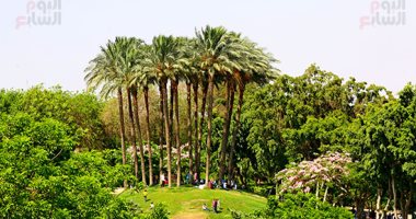 حديقة الأزهر تتزين لاستقبال زوار العيد حديقة الأزهر