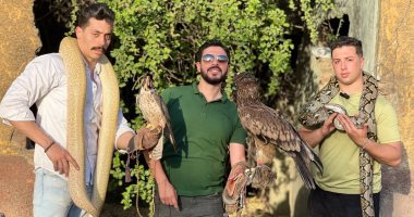 لحظات مدهشة للطيران.. العقاب الذهبى يرفض الذل ويمتلك السماء.. فيديو محمد فتحى عبد الغفار مع مربى الطيور الجارحة