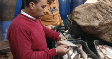 ضبط 7400 كيلو أسماك ورنجة وفسيخ مخالفة للمواصفات بالدقهلية 