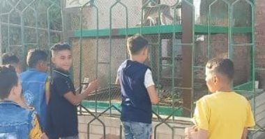 أهلًا بالعيد.. أماكن تستحق الزيارة خلال عيد الفطر ببنى سويف.. المراكب الشراعية تستقطب المواطنين والرحلة بـ20 جنيها.. واتصور سيلفى مع النافورة الراقصة بالممشى السياحى مجانا.. وملاهى حديقة النيل مقصد الأطفال