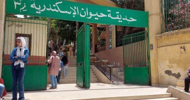 بـ5 جنيه فقط.. استمتع بإجازة عيد الفطر المبارك بحديقة الحيوان فى الإسكندرية