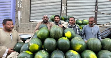 "أحمر وحلاوة" البطيخ النمس يغزو الأسواق فى قنا.. وتجار: النمس والجيزة والسكاتا أشهر الأنواع وينتشر فى الصيف لاحتياجه درجات حرارة.. والأسعار تتراوح بين 10 و15 جنيها للكيلو.. صور
