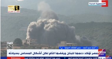 خبير علاقات دولية: الدعم المصري مستمر على كل الجبهات العربية