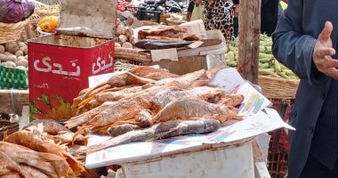 صحة المنيا: تحرير 209 محاضر وإعدام طن لحوم وأسماك فاسدة  
