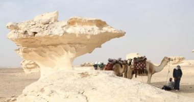 أرض العجائب.. الصحراء الغربية تحتضن معالم طبيعية مذهلة منذ ملايين السنين