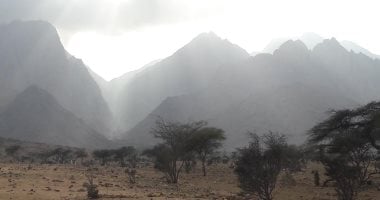 واحة الضباب فى محمية جبل علبة جنوب البحر الأحمر.. السحاب يلامس رؤوس قمم الجبال فى حلايب على ارتفاع 1435 مترًا.. وتشكل أبرز المعالم الطبيعية في المنطقة.. وتنبت أعلى قممها أشجار نادرة.. صور ضباب كثيف يتناثر بين قمم جبل علبة في حلايب وشلاتين