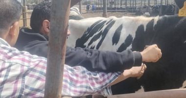 محافظ الإسماعيلية يتابع نشاط الطب البيطرى للحفاظ على الثروة الحيوانية والداجنة  