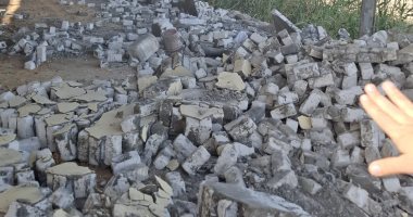 إزالة 12 حالة أعمال للبناء المخالف والتعديات على الأراضى الزراعية بأحياء الإسكندرية