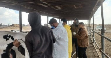 انطلاق الحملة القومية للتحصين ضد الجلد العقدي وجدري الأغنام بالإسماعيلية
