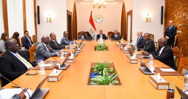 وزير الخارجية يستقبل أعضاء اللجنة التنفيذية للرابطة الإفريقية فى مصر