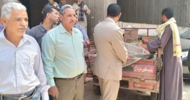 تحرير 20 محضر إشغالات خلال حملة بمركز جرجا فى سوهاج جانب من الحملة