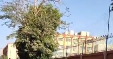 رجعوا التلامذة.. توافد طلاب الأقصر على المدارس بعد انتهاء إجازة العيد..فيديو