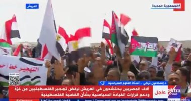 أستاذ علوم سياسية: مصر تبذل كل ما بوسعها لكشف زيف الرواية الإسرائيلية