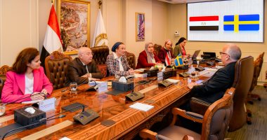 وزيرة البيئة تبحث مع السفير السويدى بالقاهرة تعزيز التعاون الثنائى فى التحول الأخضر