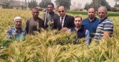 محافظ الجيزة يتابع استعدادات استقبال موسم حصاد القمح ويؤكد تقديم الدعم للمزارعين استعدادات استقبال موسم حصاد القمح