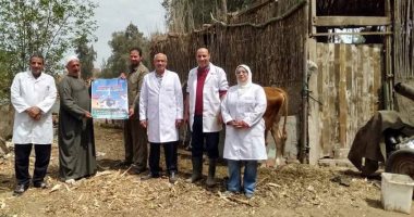 محافظ المنوفية: تحصين 76 ألفا و282 رأس ضد مرض الحمى القلاعية والوادى المتصدع