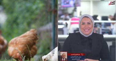 أسواق الدواجن فى مصر.. هل تنخفض الأسعار خلال الفترة القادمة؟ (فيديو)