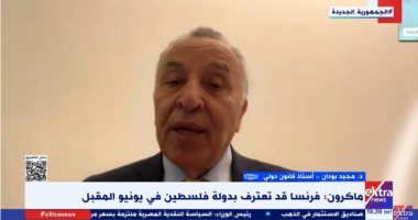 أستاذ قانون دولي لإكسترا نيوز: فرنسا تأخرت في الاعتراف بالدولة الفلسطينية