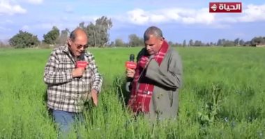 "الحياة اليوم" يجرى جولة بأكبر قرية لزراعة وتصنيع الكتان فى العالم بالغربية جانب من جولة برنامج الحياة اليوم