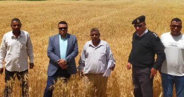 مدينة أرمنت تسترد 24 ألفا و675 متر أراضى زراعية بالموجة 25 للتعديات.. صور