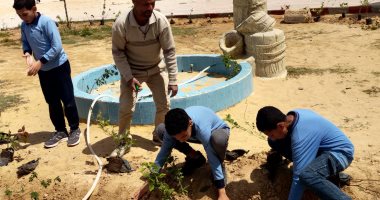 "تعليم الإسكندرية" تنظم معسكرات تجميل ودهانات الفصول والطرقات وتشجير لأفنية