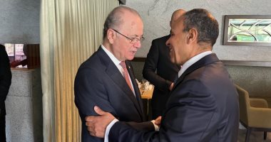 وزير الخارجية يبحث مع رئيس وزراء فلسطين جهود مصر فى تثبيت اتفاق وقف إطلاق النار فى غزة