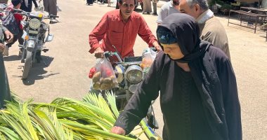 سعف النخيل يزين شوارع قنا احتفالاً بـ"أحد السعف".. فيديو