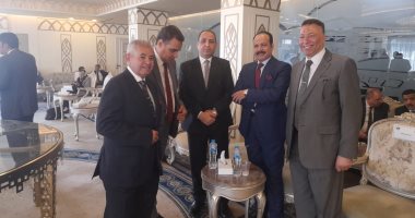 أمين مساعد التحول الرقمى بقضايا الدولة: نجاح التصويت الإلكترونى للمرة الثانية