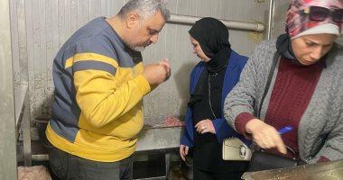 ضبط 6 أطنان أسماك ورنجة وفسيخ ولحوم ودجاج مخالفة للمواصفات بالدقهلية