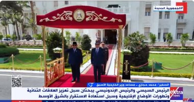 السفير محمد حجازى: إندونيسيا شريك رئيسى فى دعم التحرك المساند للفلسطينيين مداخلة السفير محمد حجازي، مساعد وزير الخارجية الأسبق