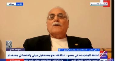 خبير: التوسع فى المساحات الخضراء أحد المشروعات الأساسية بالاعتدال المناخى