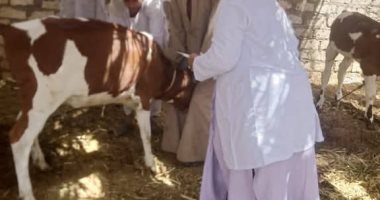 تعرف على جهود الطب البيطرى بأسوان للحفاظ على الثروة الحيوانية