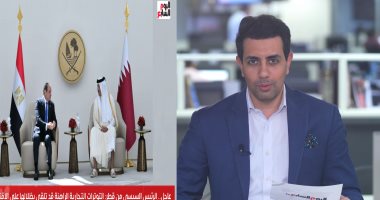 تفاصيل لقاء الرئيس السيسي ممثلي مجتمع الأعمال القطري ودعوتهم للاستثمار بمصر