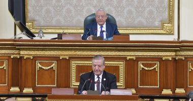 رئيس اقتصادية النواب مطالبا بمراعاة ملاحظات المركزى للمحاسبات: نفخر بقوته فى المحافل الدولية