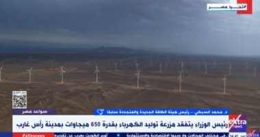 محمد السبكي: مصر تتمتع بآليات تساعد على تنمية إنتاج الكهرباء من المصادر المتجددة
