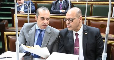 وزير العمل يشكُر المستشار محمود فوزي وزير المجالس لجهوده وسرعة إصدار قانون العمل وزيرا العمل والمجالس النيبابية
