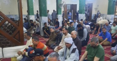 192 ألف فدان منزرعة من القمح و60 ندوة علمية فى سوهاج منذ بداية العام