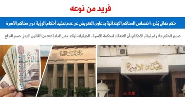 الاستئناف: اختصاص المحاكم الابتدائية بدعاوى تعويض عدم تنفيذ الرؤية.. برلمانى