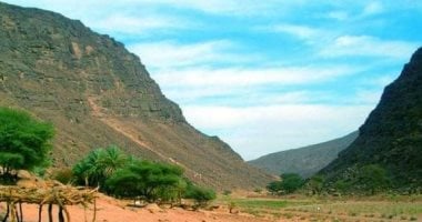 قرية أبرق.. جوهرة محمية جبل علبة وأهم قطاعاتها وكنز الجنوب التاريخي والطبيعي.. بها نقوش تدل على آثار الإنسان ما قبل التاريخ.. تحوي بقايا قلعة رومانية قديمة.. وينتشر بها العشب مطلع الربيع والشتاء كل عام.. صور أودية أبرق شمال الشلاتين