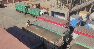 تموين الوادى الجديد: بشائر توريد أول شحنات القمح لصوامع المحافظة دون معوقات