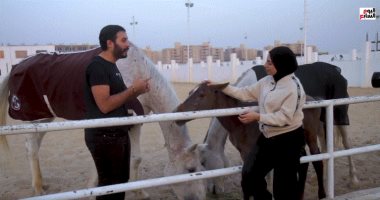 الخيل تهذّب ولا تُدلّل.. رحلة داخل عالم الخيول مع حاتم ستين: "ورا كل نظرة معنى"
