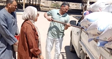 صوامع وشون الجيزة تبدأ استقبال القمح المحلى من المزارعين.. صور