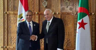 وزيرا خارجية مصر والجزائر يبحثان تطورات الأوضاع فى ليبيا وغزة